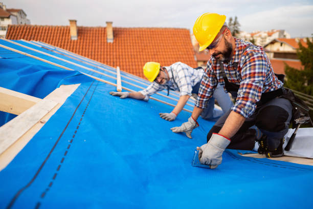 Quick and Trustworthy Emergency Roof Repair Services in Grand Ledge, MI